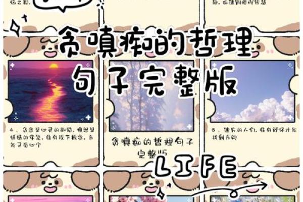 弃命从财，深藏富贵命的哲理与智慧