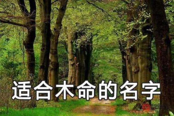 木命人与其他命理的最佳配合:寻求和谐与共生的智慧 木命人与其他命理的最佳配合:寻求和谐与共生的智慧