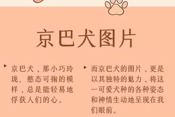 属鸡正月出生的人命运解析:聪慧灵动的未来与机遇之旅 属鸡正月出生的人命运解析:聪慧灵动的未来与机遇之旅