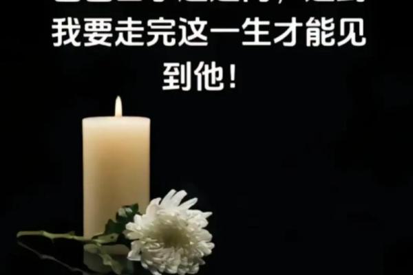 1995年出生的人适合的命运与人生指导 1995年出生的人适合的命运与人生指导