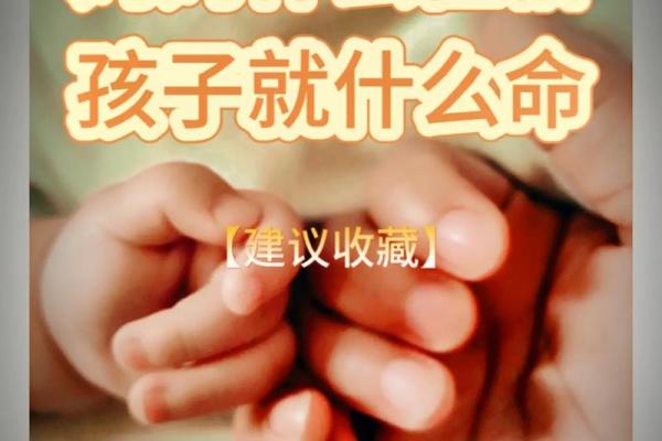 守命与坐命：解读命理中的命运与品质