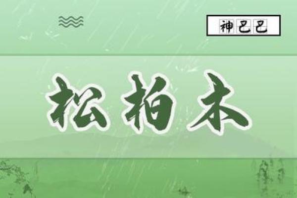 松柏木命的干娘选择：缘分与命理的美妙交织
