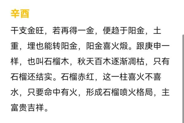 探索命理八字中的乙亥命:一场关于性格与命运的奇妙旅程 探索命理八字中的乙亥命:一场关于性格与命运的奇妙旅程