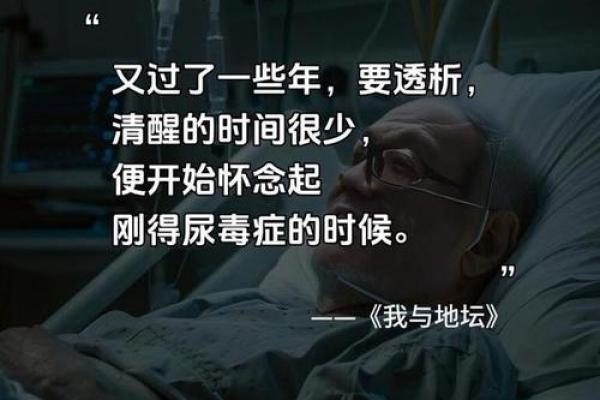 1967年出生的命运解析：一生的机遇与挑战