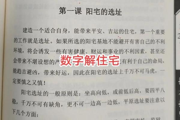 解析1991324命理：一生的财富与运势之道