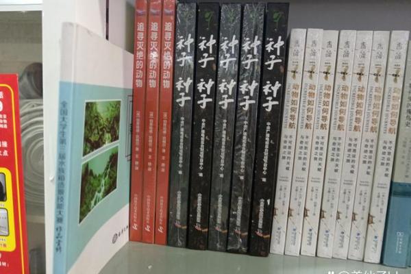 命里无妻之命:解读人生中的孤独与缘分 命里无妻之命:解读人生中的孤独与缘分