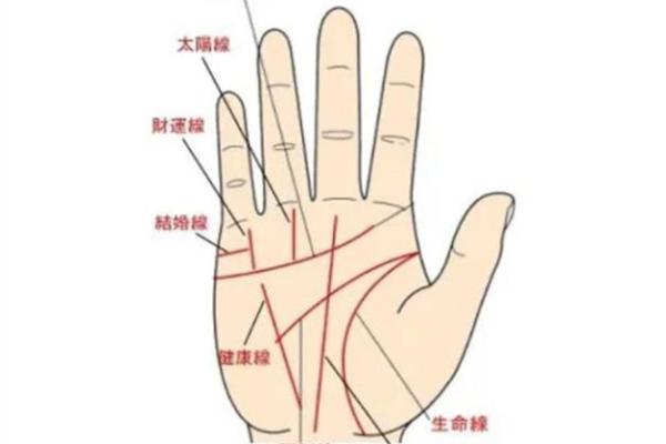癸水命的财运:与哪些命理相合才可得财富? 癸水命的财运:与哪些命理相合才可得财富?