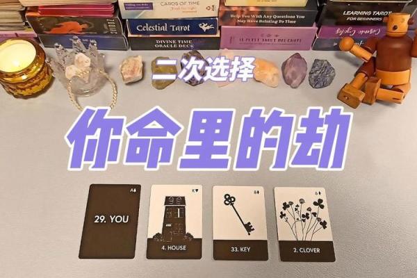 文星拱命格女命的职业选择与人生发展探讨