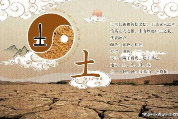 命运的五行：探讨最苦命格的秘密与解脱之道