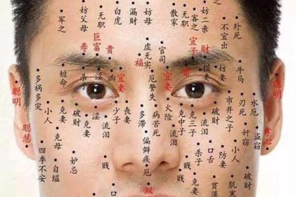 长什么痣，命运的秘密：解析痣相与运势的关系