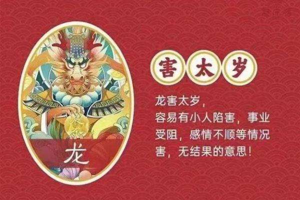 2013年龙年出生的人：龙命的特质与运势解析