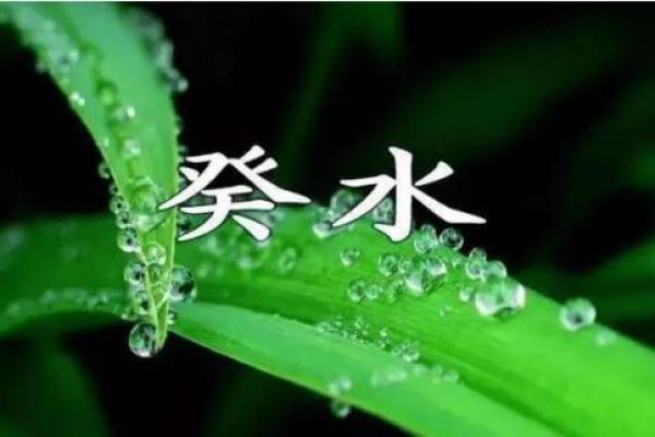 女命阴水命的深刻解析与生活启示 女命阴水命的深刻解析与生活启示