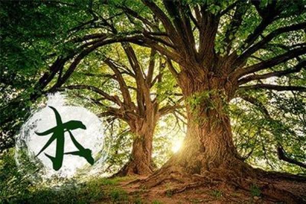 庚申石榴木命与哪些命最具匹配性?探寻命理的和谐美学 庚申石榴木命与哪些命最具匹配性?探寻命理的和谐美学