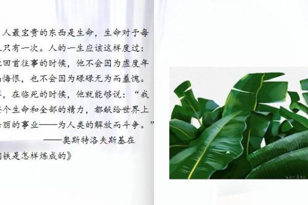 探秘甲木命:自然之韧,人生之路的精彩绽放 探秘甲木命:自然之韧,人生之路的精彩绽放