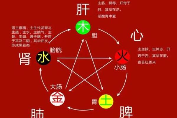 96年火命与其他命理的相生相克之道 96年火命与其他命理的相生相克之道