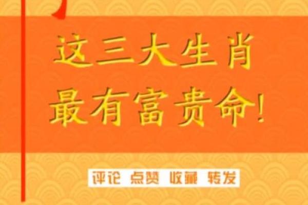 什么动物代表富贵命:深入探索生肖与财富的神秘联系 什么动物代表富贵命:深入探索生肖与财富的神秘联系