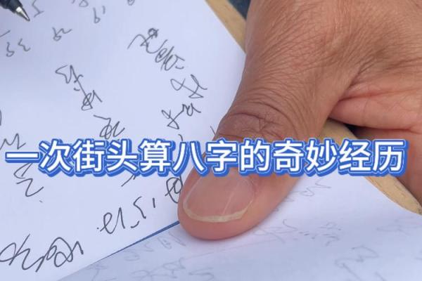 解密四命芭芭拉：探索命理与个性的奇妙结合