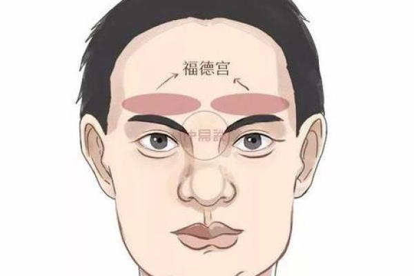 头重脚轻的长相与命运:你的面相暗示了什么? 头重脚轻的长相与命运:你的面相暗示了什么?