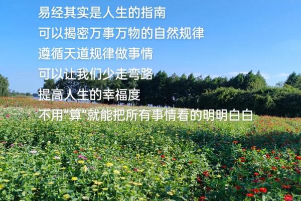 92岁属什么？揭秘92岁老人的命运与人生智慧