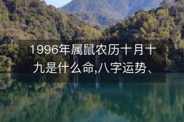 2028年鼠年命运解析:揭开属鼠人的生活与运势秘密 2028年鼠年命运解析:揭开属鼠人的生活与运势秘密
