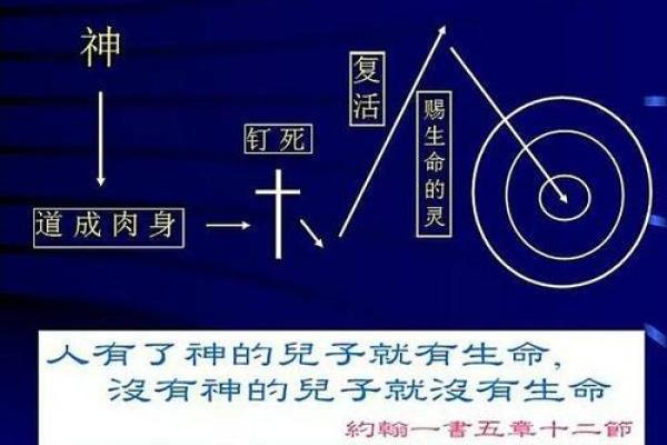 三命命格解析：探寻人生的奥秘与机遇