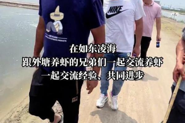 适合养虾的命理分析:探索你的命格与虾的紧密联系 适合养虾的命理分析:探索你的命格与虾的紧密联系