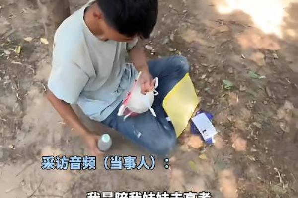 探寻3016年属狗人的命运与性格特征