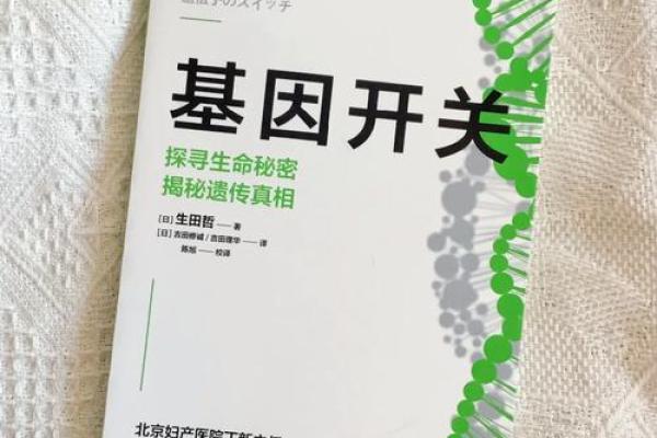 命理缺子女的秘密与调和之道：让生命焕发新的希望