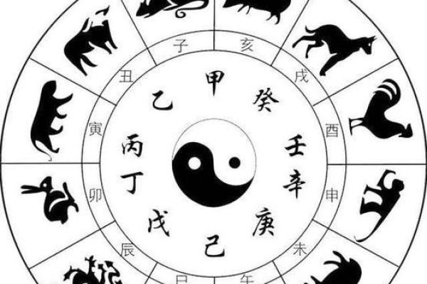 解读63属什么生肖与命运的奥秘，揭示人生轨迹