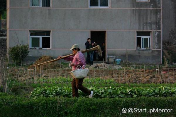 农民工的命运：在城市与乡村之间的拼搏与希望
