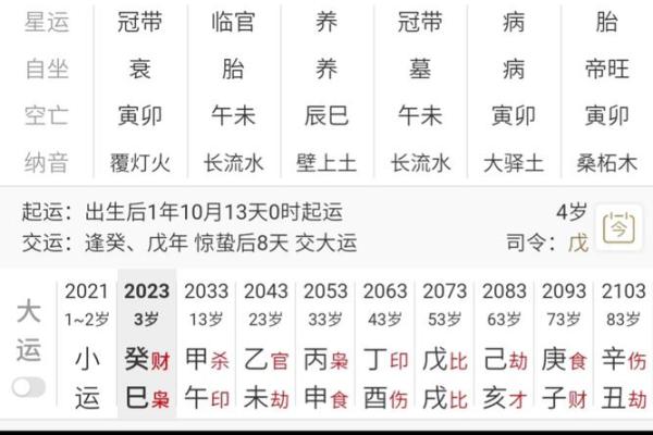 命理揭秘：如何识别幸福公主命格的特征与启示