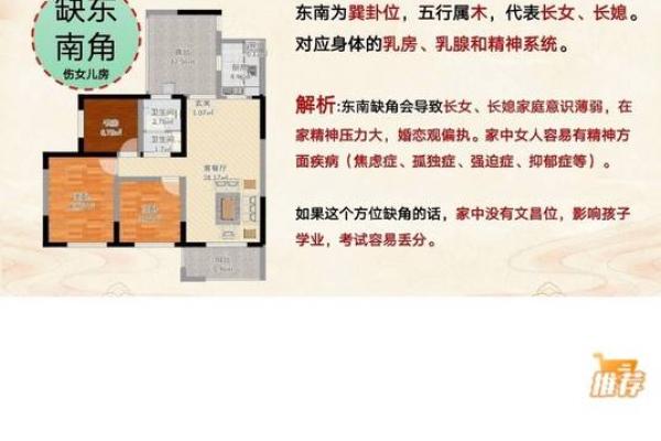 解析数字命理：1991427如何影响人生轨迹与性格特征