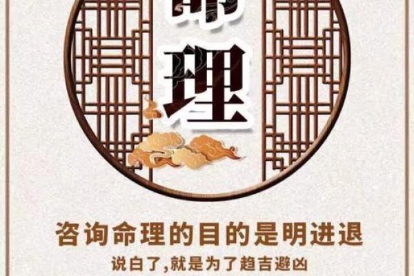 2018年属狗人士的木命解析与生活指导 2018年属狗人士的木命解析与生活指导