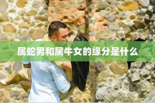 1973年什么命男性：命运与性格的深度解析