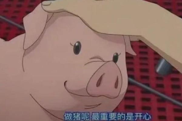 一只猪的命运：从田园到餐桌的心路历程