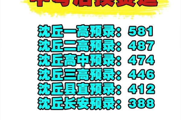 1953年出生的人命运之路：探索人生的每一个岔口与选择