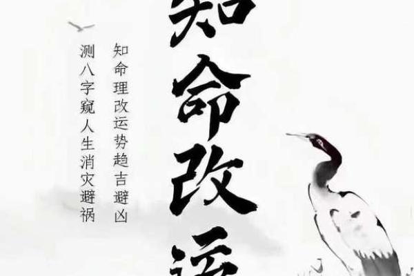 探秘命理:女命生男命的深意与缘由 探秘命理:女命生男命的深意与缘由