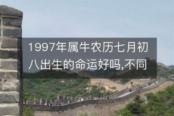 探秘甲申日井泉水命与命理相配的完美组合