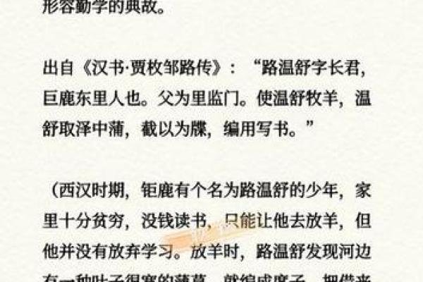 从勤奋到成功:理解“脚踏实地”这一成语的深刻寓意 从勤奋到成功:理解“脚踏实地”这一成语的深刻寓意