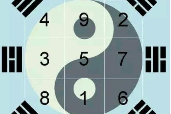 19950218是什么命：探秘出生于这一日的命运与性格