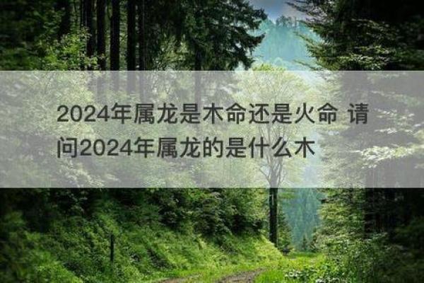 木命与火命适合种植哪些树木？探秘五行相生之道