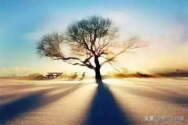 风水轮流转:谋事在人成事在天的智慧探讨 风水轮流转:谋事在人成事在天的智慧探讨