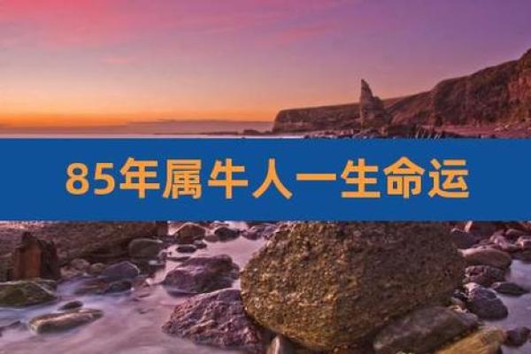 2009年属牛的你，命运走向与性格解析
