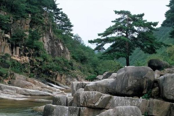 1998年属虎，戊寅之命：从命理看人生之路