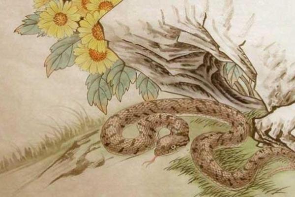 探索农历10月蛇的命运：揭开神秘面纱，分析命理奥秘
