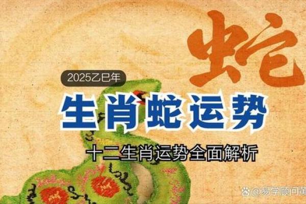 1940年生肖蛇的命运与性格剖析 1940年生肖蛇的命运与性格剖析