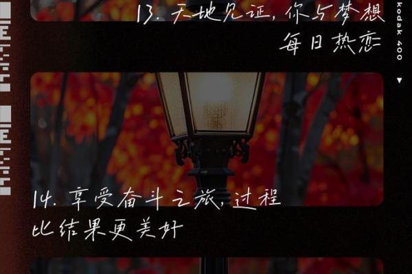 2009年出生的人命运分析：星辰照耀下的未来之路