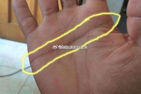 女人左手断掌的命理解析:揭开手相的神秘面纱 女人左手断掌的命理解析:揭开手相的神秘面纱