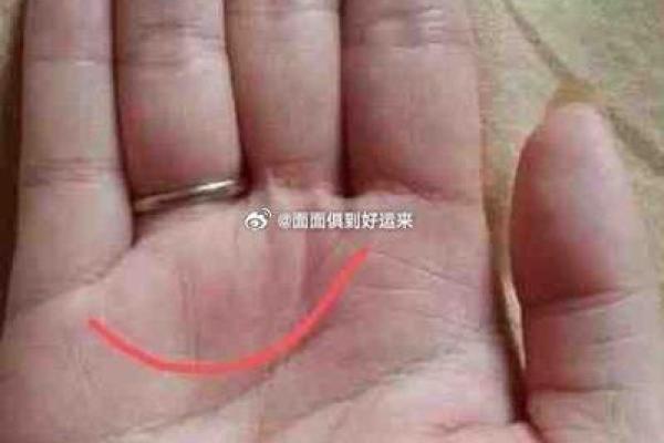 女人左手断掌的命理解析:揭开手相的神秘面纱 女人左手断掌的命理解析:揭开手相的神秘面纱