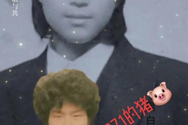 1971年白猪出生的人命运解析：你的优势与挑战